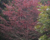 2013-11-01 20.10.14.jpg